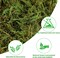 Large Capacity Artificial Moss for Potted Plants,Natural Artificial Moss Grass for Fake Plants Indoor,Craft Moss and Greenery Bulk,Forest Moss for Hamsters